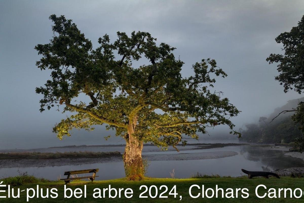 Ty Glazu Doelan Espace 60M2, Port& Criques A Pied, 2 Chambres Privees Au 1Er Etage, Sdb, Wc Separe Clohars-Carnoët Esterno foto